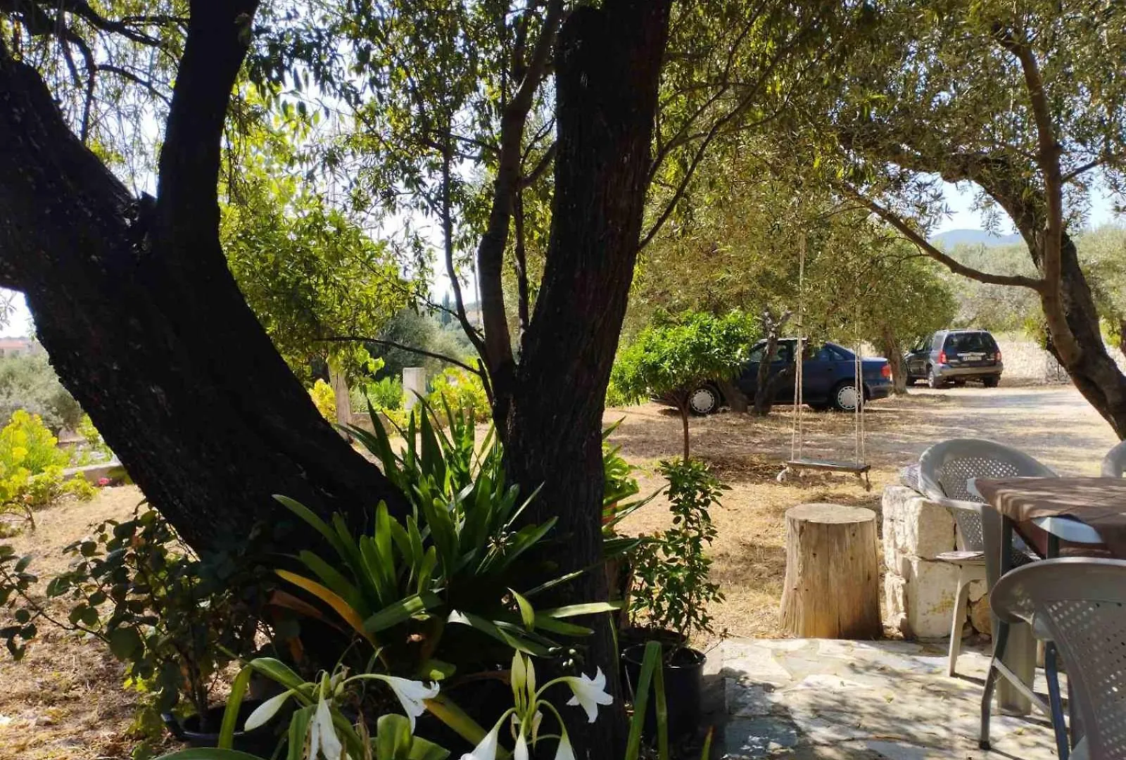 Krini And Aroma Apartments - Garden & Private Parking Mousata