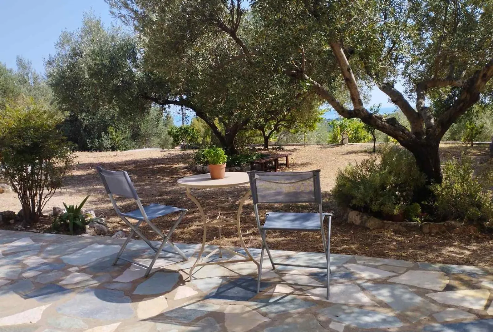 Krini And Aroma Apartments - Garden & Private Parking Mousata