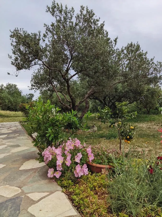 Krini And Aroma Apartments - Garden & Private Parking Mousata اليونان